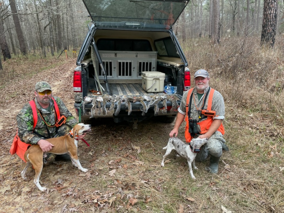 Good morning of Squirrel Hunting with dogs