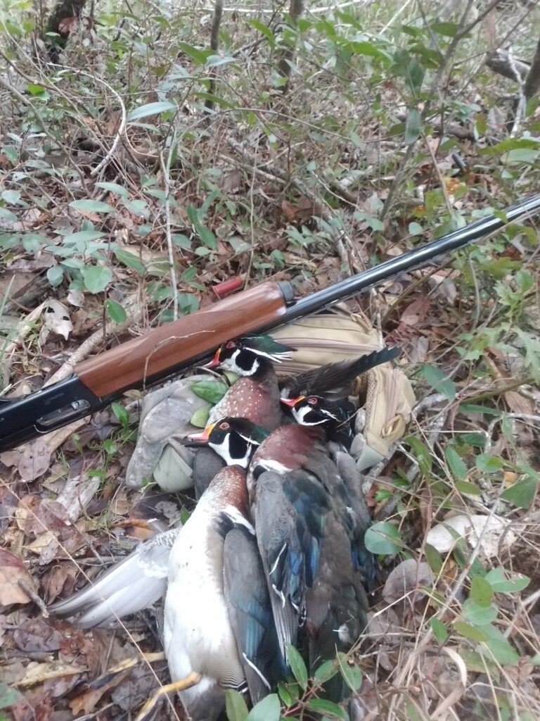 South Mississippi woodies