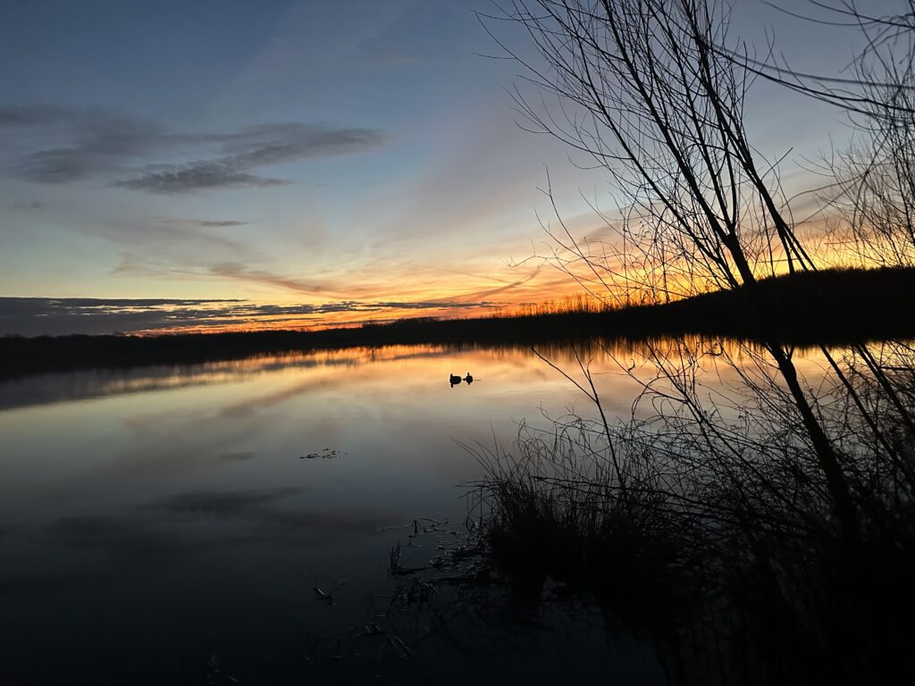 Delta Sunrise