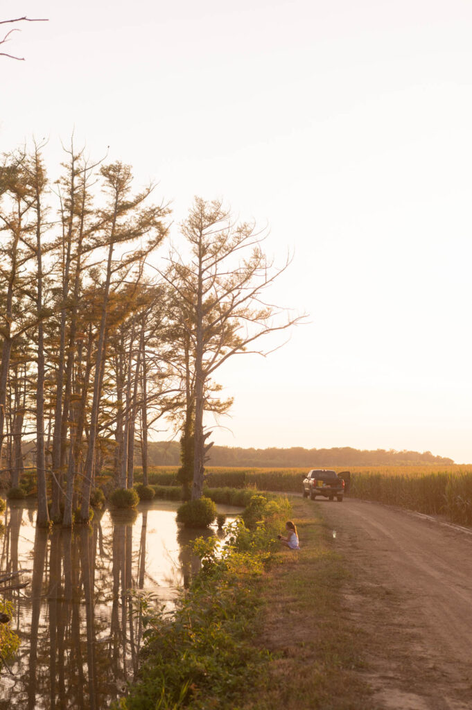 Summers in the Delta