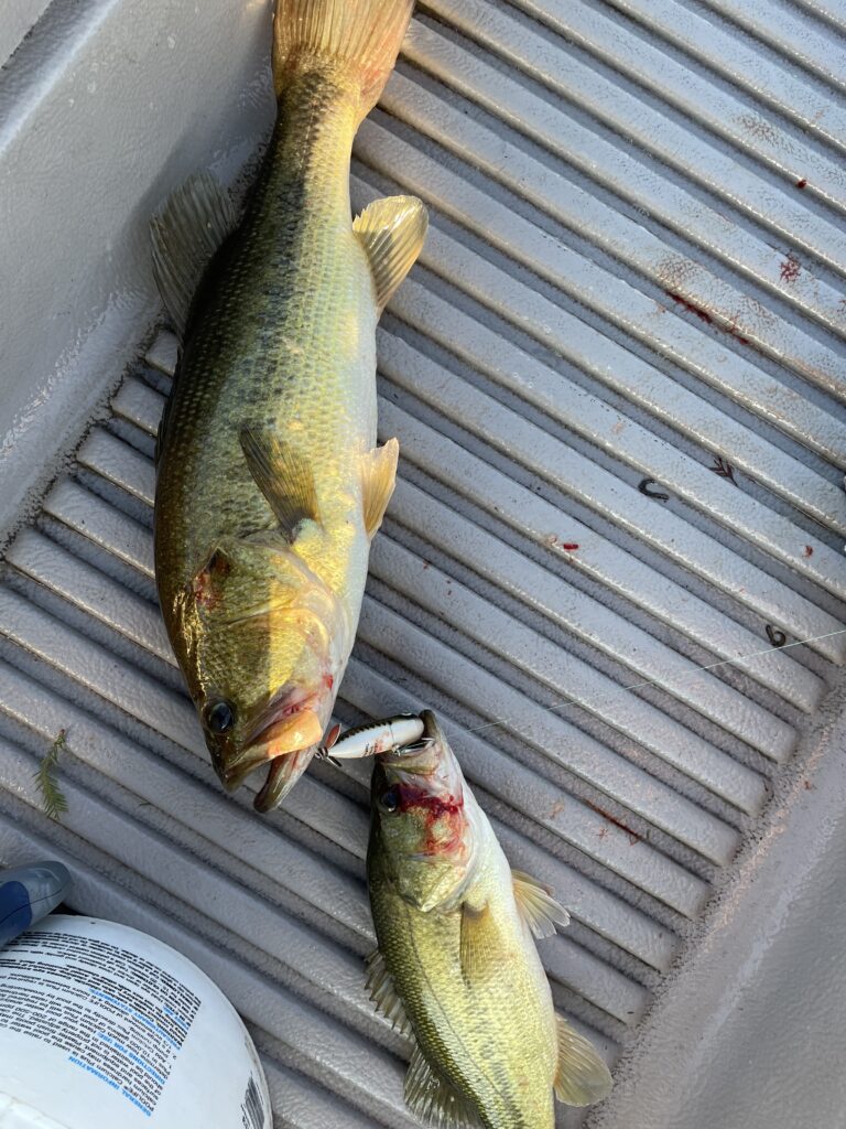2 fish on the same cast