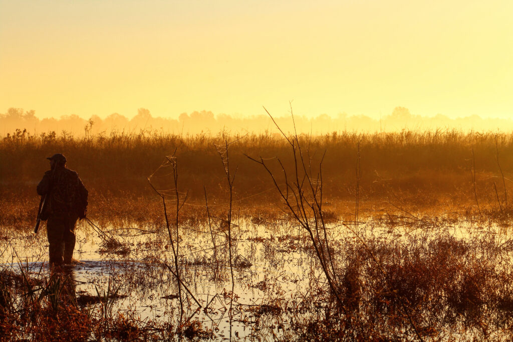 The Magic of the Mississippi Delta