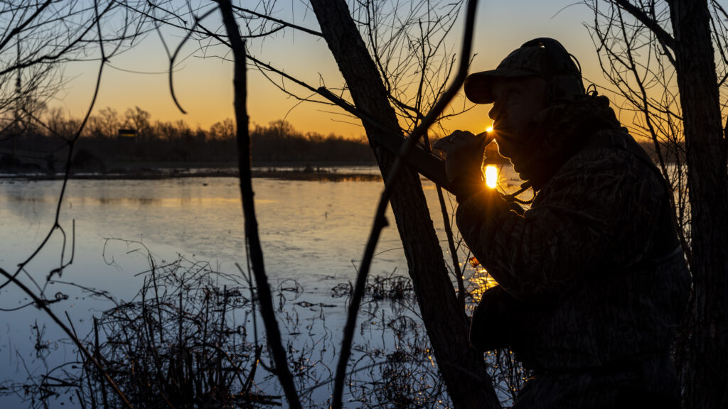 Warming up the Reeds