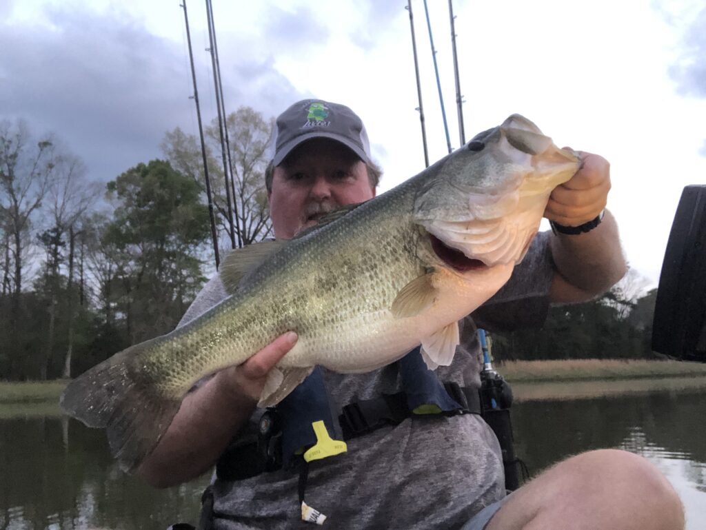 Kayak bass