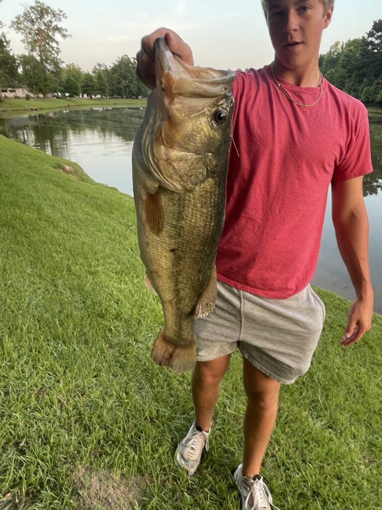 Farm Pond Bass