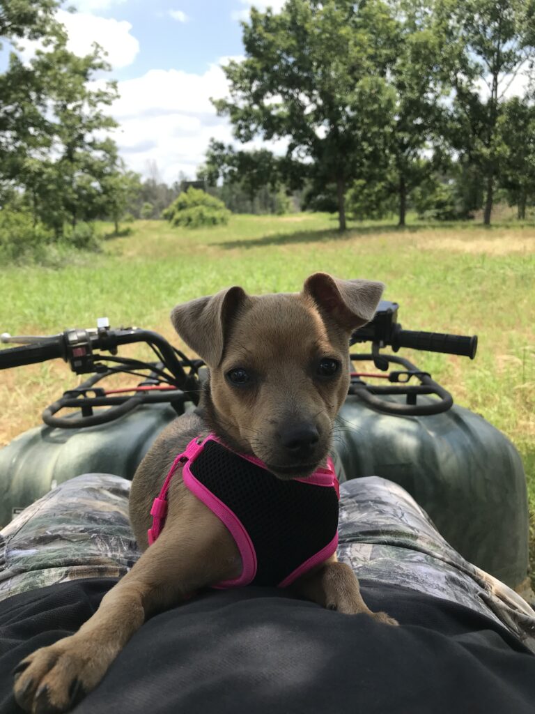 First trip to Deer Camp