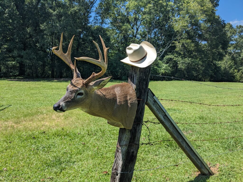 Cattle Country Bucks