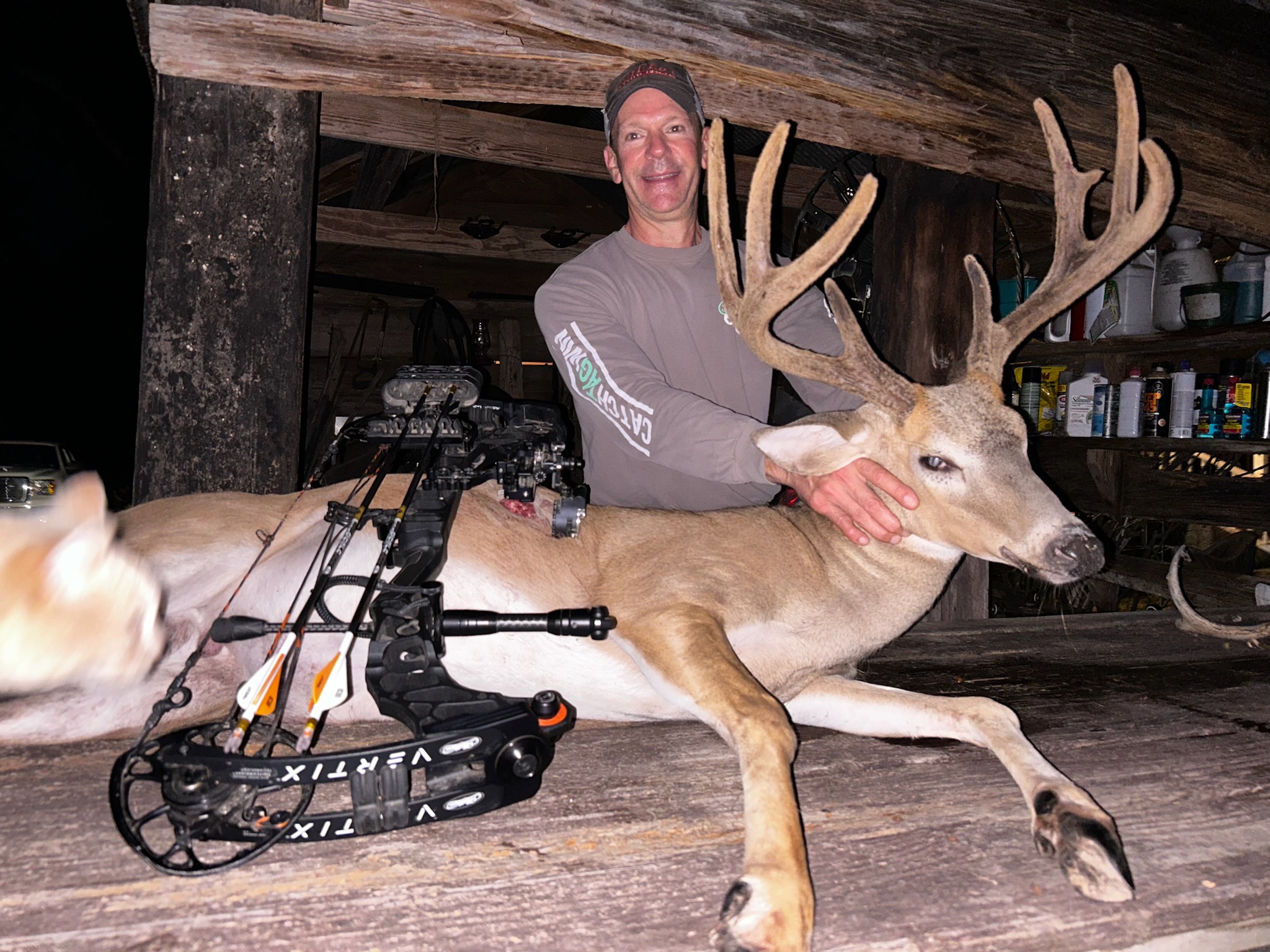 Deer in Velvet - Mississippi Outdoor Expo