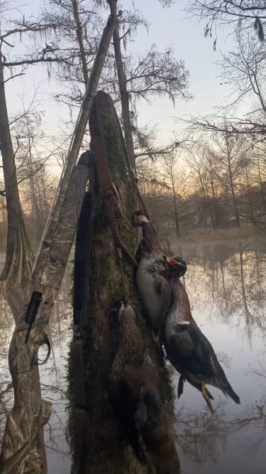 Early morning duck hunt
