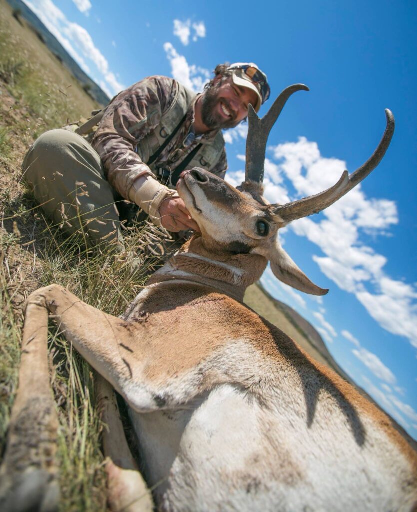 New Mexico Antelope