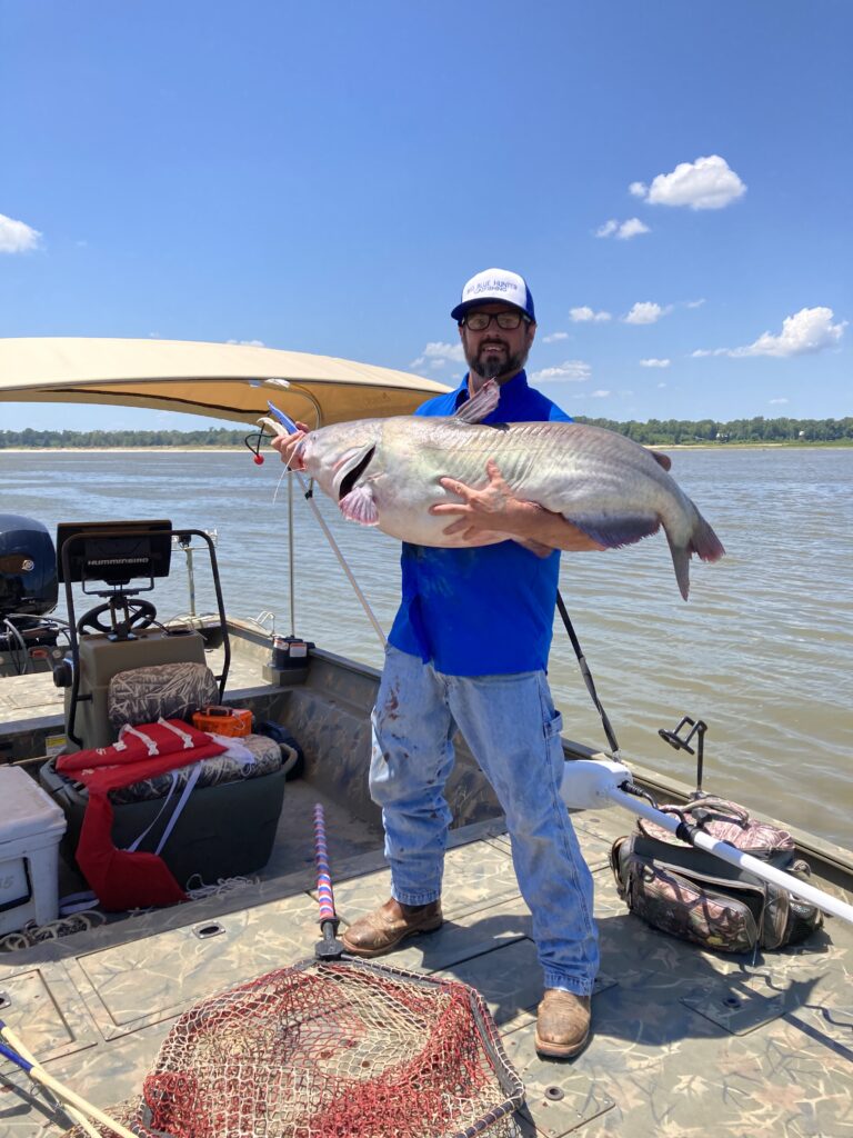 Mississippi River big blue catfish