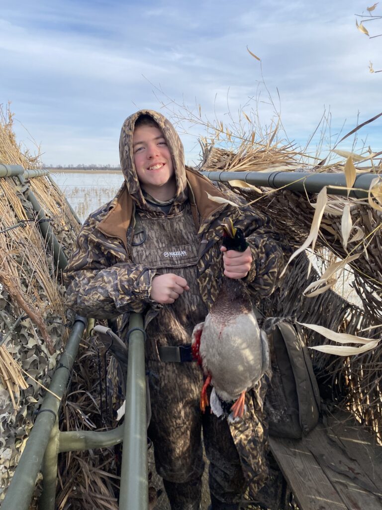 First Mallard