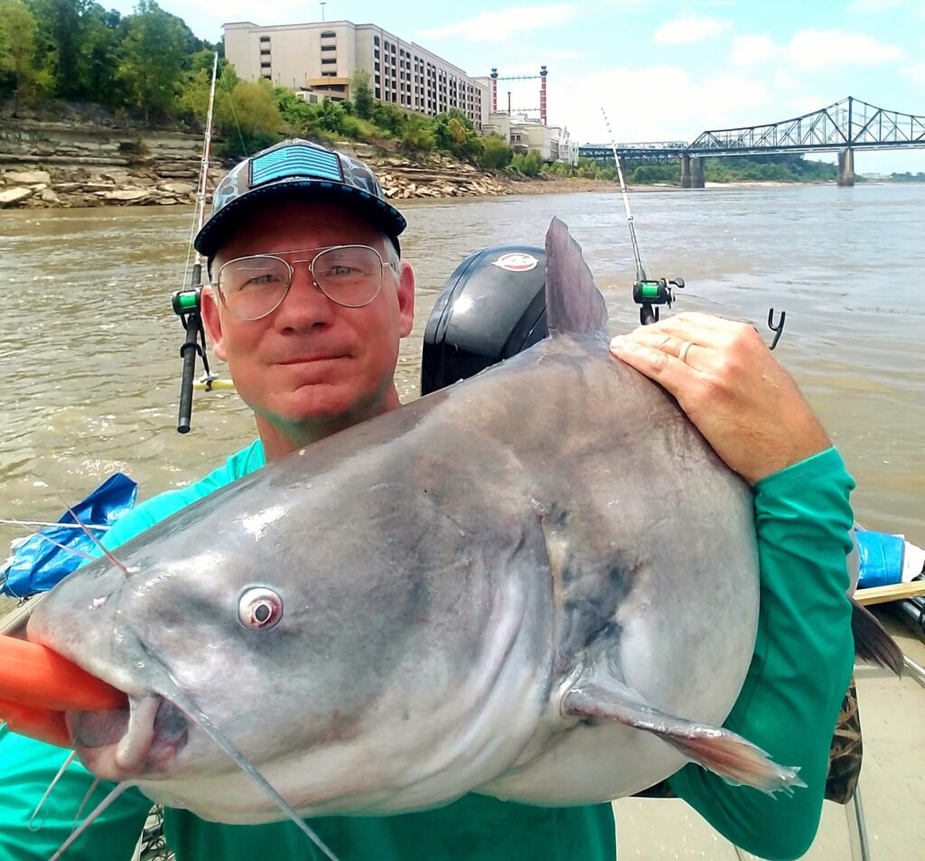 Monster Blue Catfish