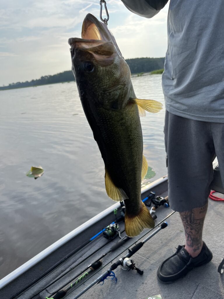 Cane creek at Ross Barnett