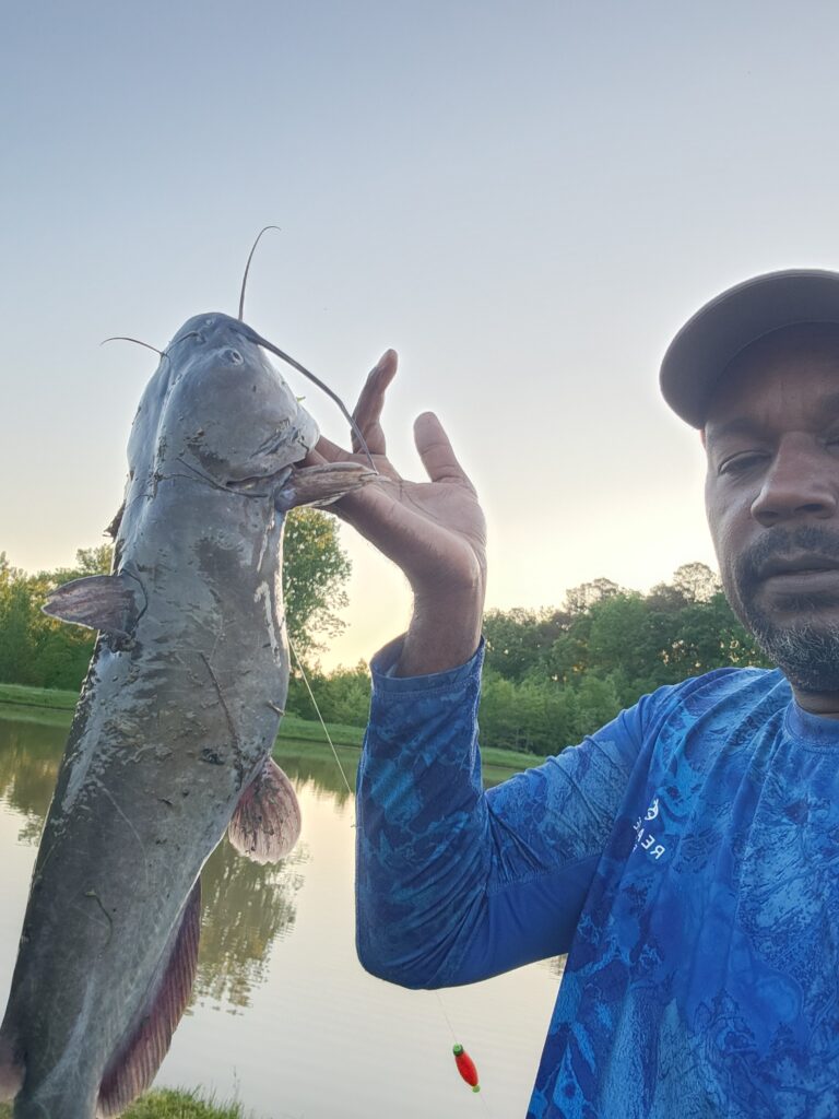 Big kitty on crappie jigs.