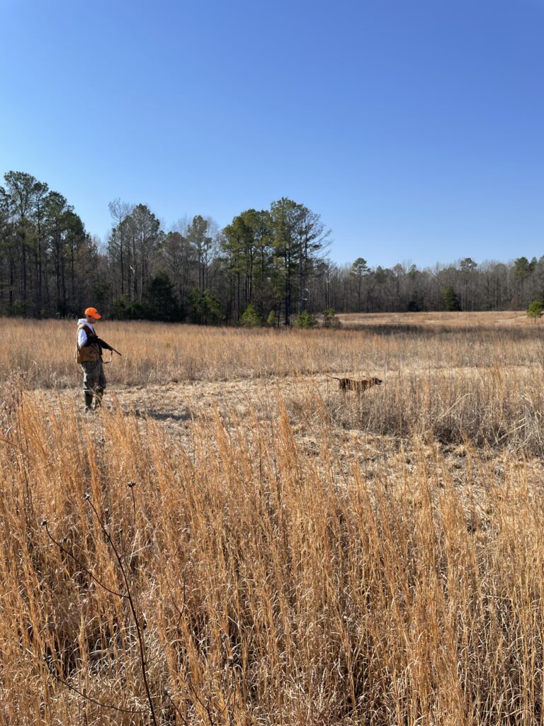 2024 quail hunt