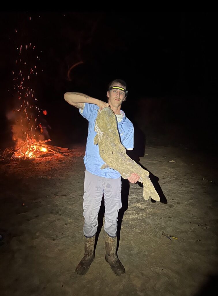Another Pearl River catfish
