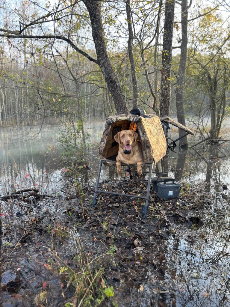 Staying hidden