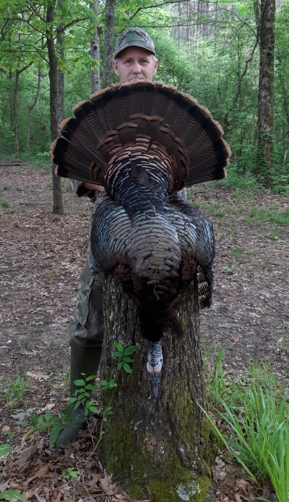 Long beard down