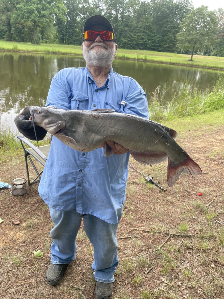 June Catfish