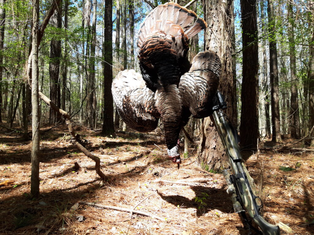 Limb hanger