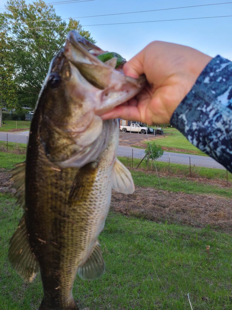 Fishing