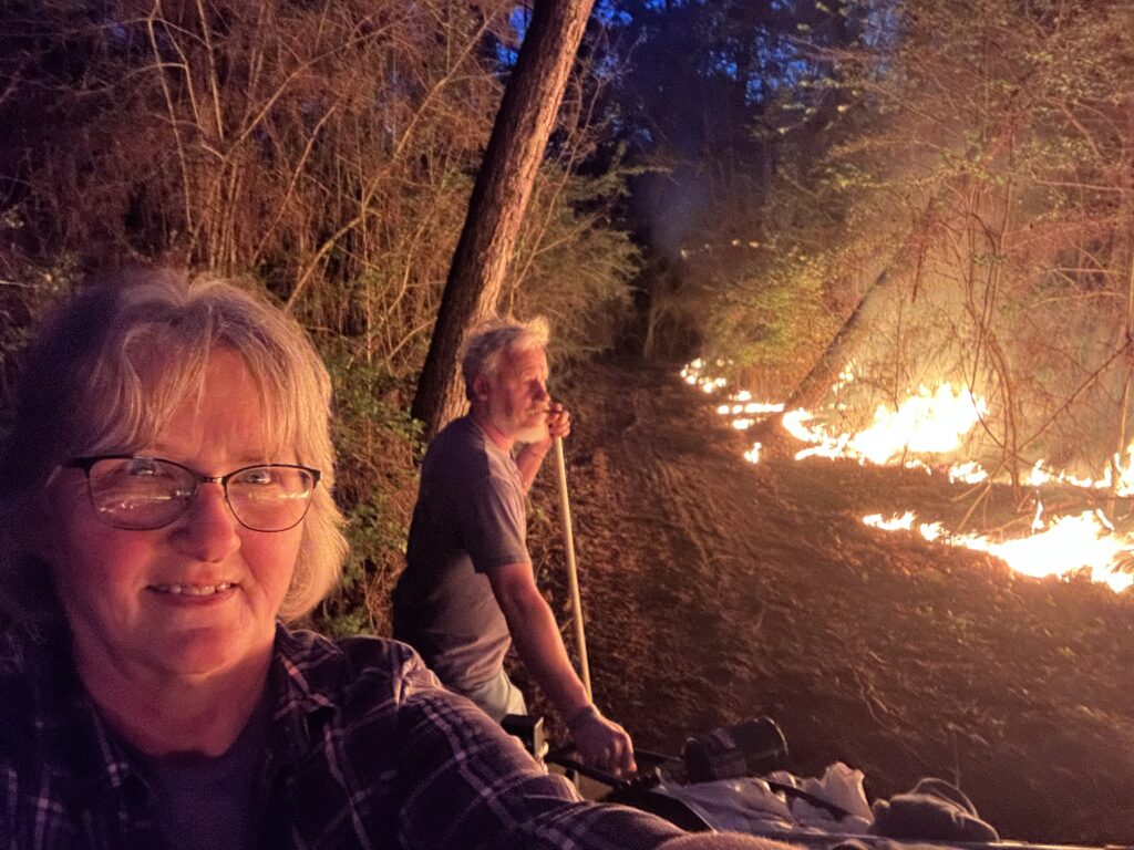 Control burning of forestry