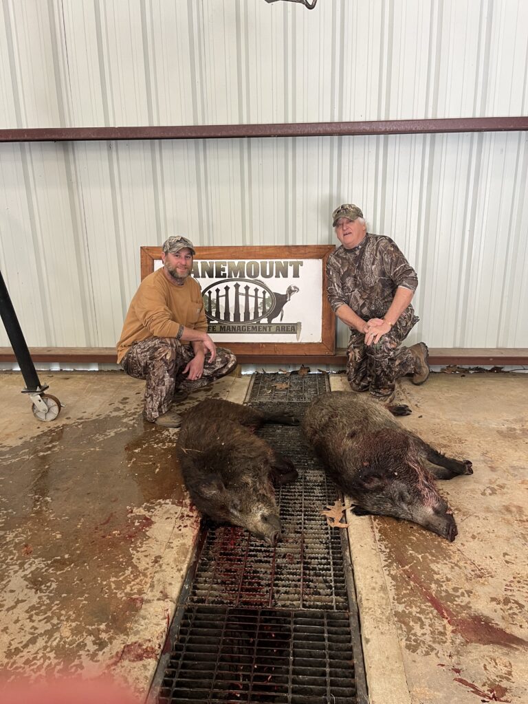 Canemount WMA hunt
