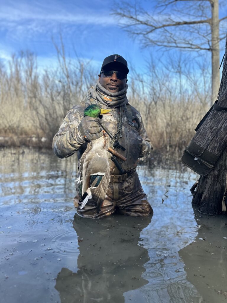Mallard madness
