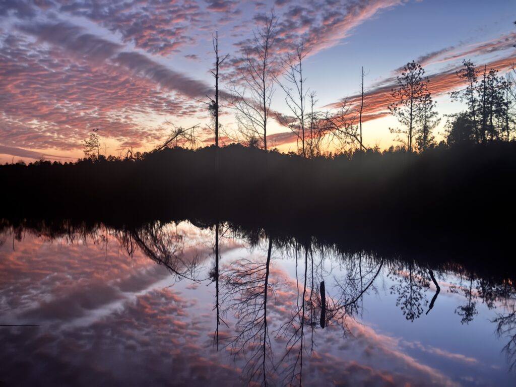 Deer Camp Pond