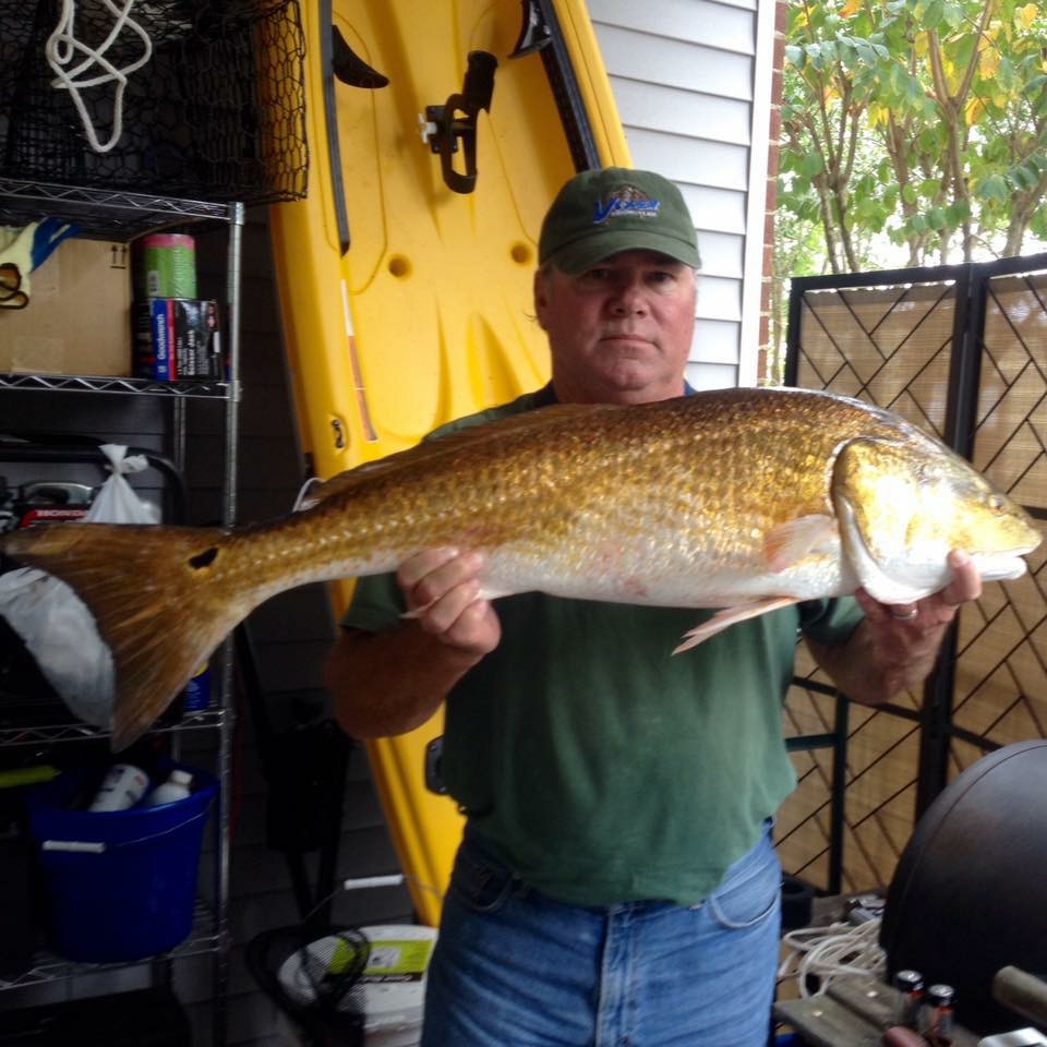 Bull Red