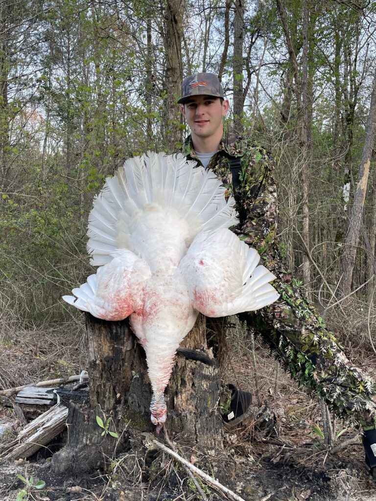 Bird of a Lifetime