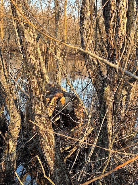 Ready to Retrieve