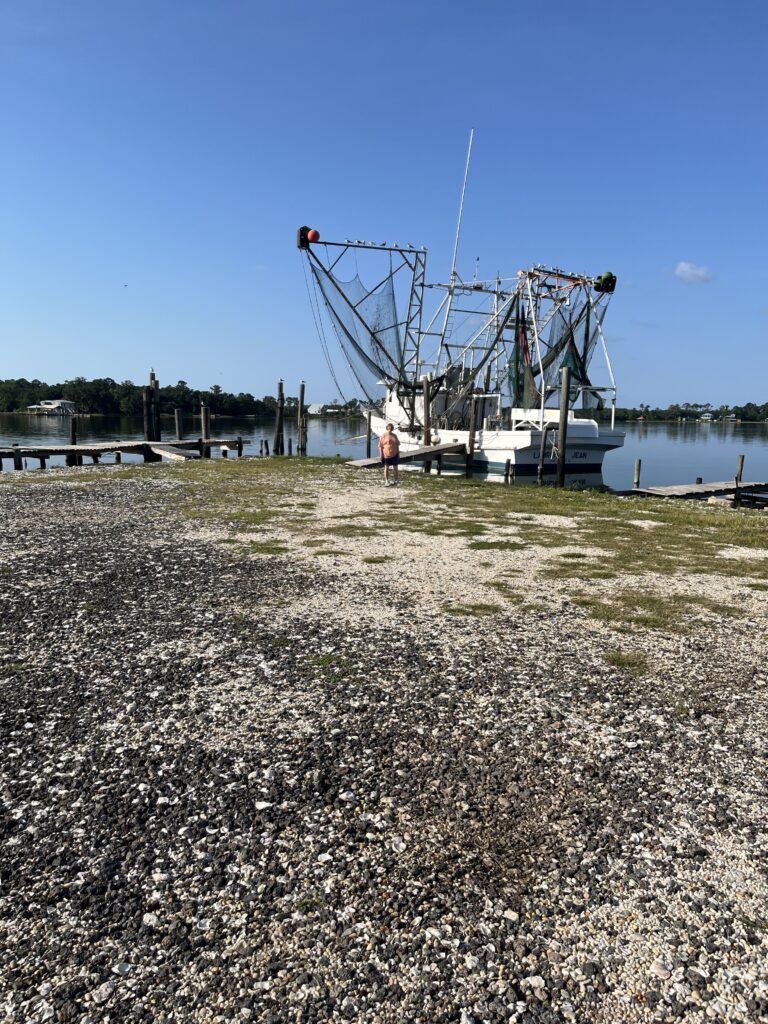 Just shrimping