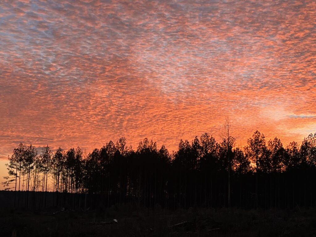 The Day Ends