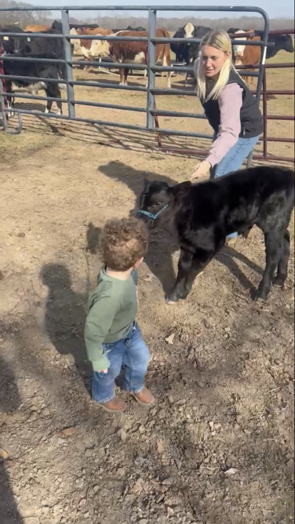 Future Cattleman