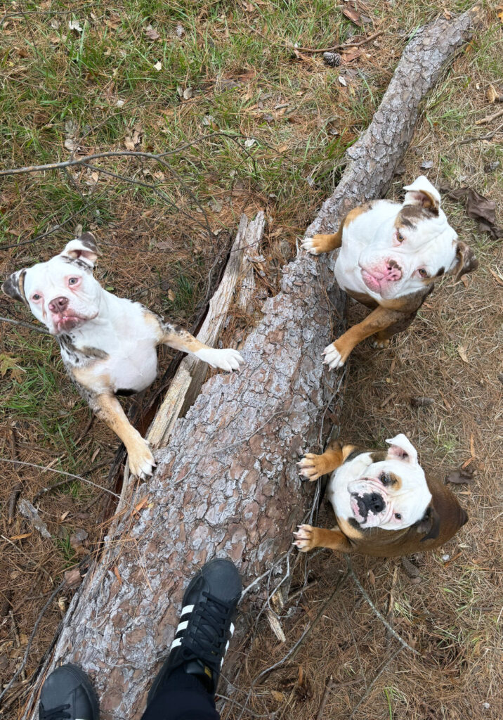 Just a country boy trying to stay warm with his hounds!