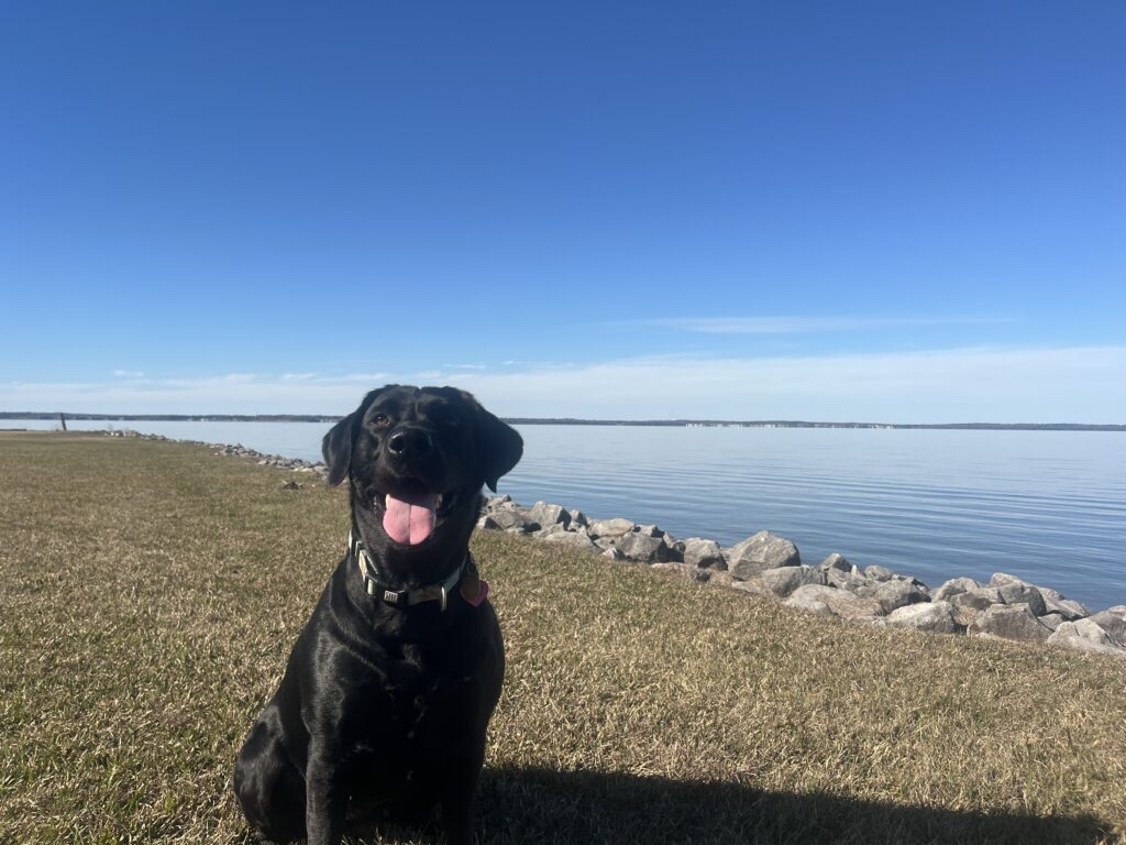 Lab by the reservoir